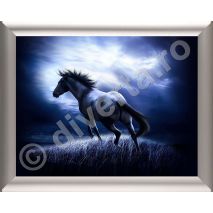 RAMA CLICK / SNAP POSTER A4 25 MM PENTRU TABLOURI, aluminiu eloxat, culoare argintiu (silver) mat, latime profil 25 mm, suprafata 210x297 mm-6 A4